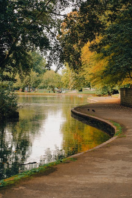 The image depicts a peaceful riverside scene with a curved paved pathway running alongside a calm waterway, partially shaded by overhanging trees with dense green foliage and some leaves displaying autumnal yellow tones. The surface of the water reflects the surrounding trees and sky, creating a mirror-like effect. In the background, there are additional trees and a glimpse of a park or recreational area, suggesting an outdoor environment typically associated with urban parks or natural reserves. The pathway appears clean and well-maintained, with no visible litter or debris, evoking a tidy outdoor setting suitable for walking or leisure activities. This scene could relate to services like rubbish removal or waste management as part of efforts to maintain such outdoor spaces, and as an example of locations where private or independent waste collection might be performed to keep the environment pristine. The natural lighting indicates daytime, with a soft diffuse light highlighting the vibrant greenery and reflections on the water, emphasizing the tranquil atmosphere of the riverside setting.