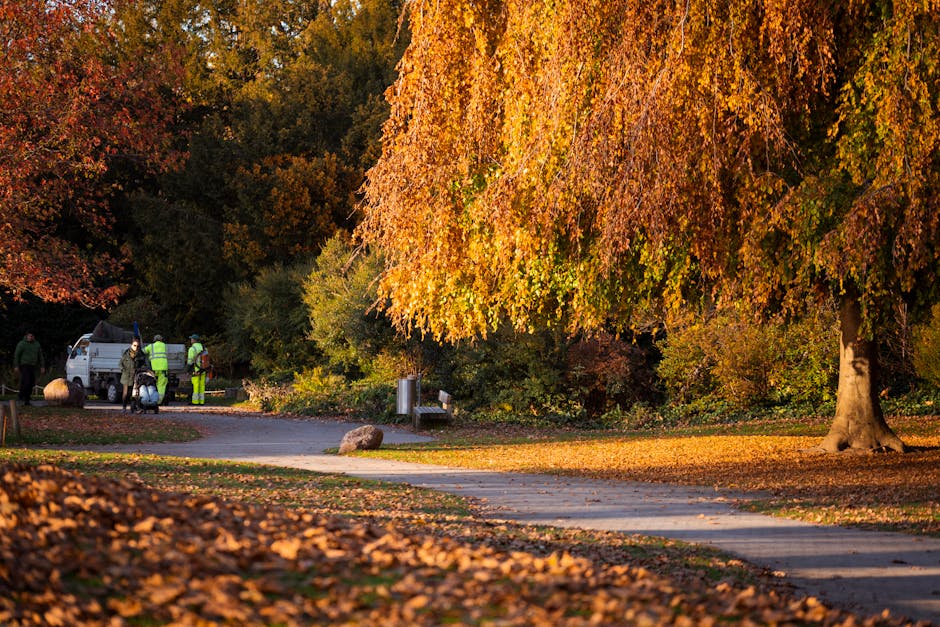 A group of workers dressed in high-visibility clothing is gathered around a small white van parked on a paved path within a park during autumn. The van is positioned near large rocks and a bench, with the workers appearing to be engaged in some form of outdoor activity or maintenance. The scene is framed by vibrant autumnal trees with leaves in shades of orange, yellow, and red, some of which have already fallen onto the ground, creating a carpet of leaves along the paved pathway and surrounding grassy areas. The background features dense foliage with trees of varying heights and rich colours, illuminated by warm sunlight that highlights the textures and hues of the leaves. This scene, in a green space with well-maintained pathways and natural surroundings, reflects a typical outdoor environment where rubbish or waste collection might be carried out as part of park upkeep or private waste management services, with Waste Disposal Hammersmith possibly involved in such tasks within this setting.